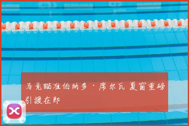 马竞瞄准伯纳多·席尔瓦 夏窗重磅引援在即